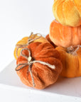 Mini velvet pumpkin measuring 2 inches tall and 3 inches wide