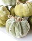 Green velvet pumpkins in three shades, three of each color