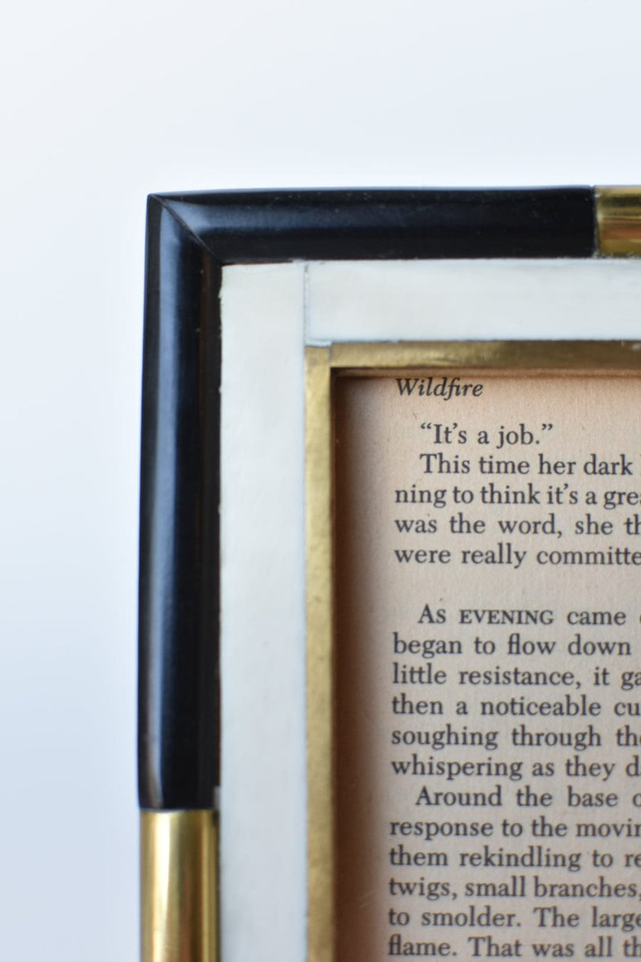 Mixed Bone and Brass Picture Frame