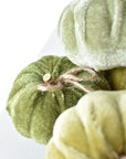 Green velvet pumpkins grouped for a fall table centerpiece