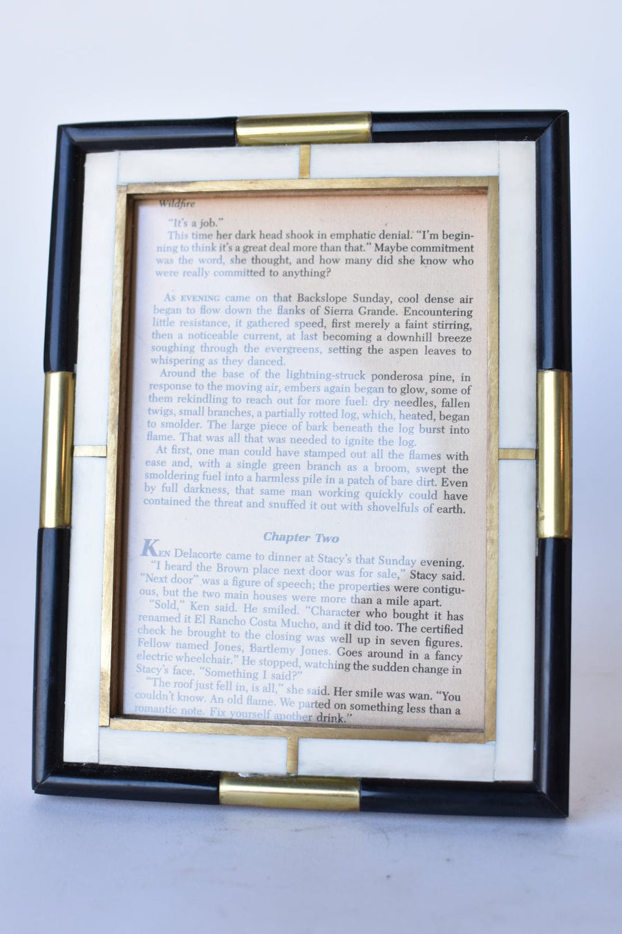 Mixed Bone and Brass Picture Frame