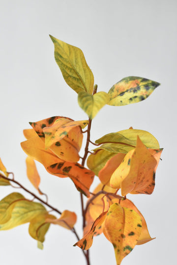 34" Faux Lemon Leaf Foliage Stem