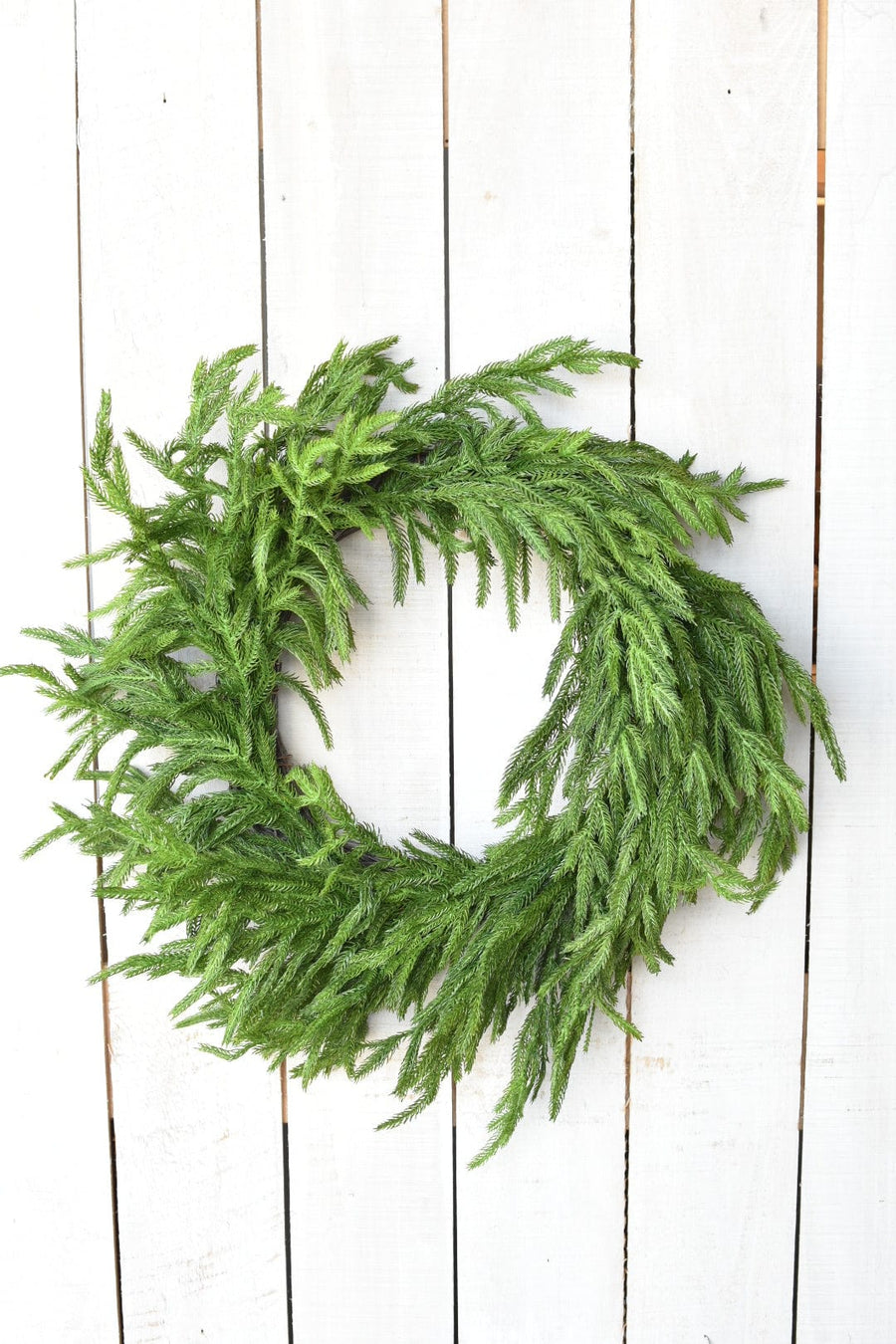 24" RealTouch HouseFloral Norfolk Pine Wreath