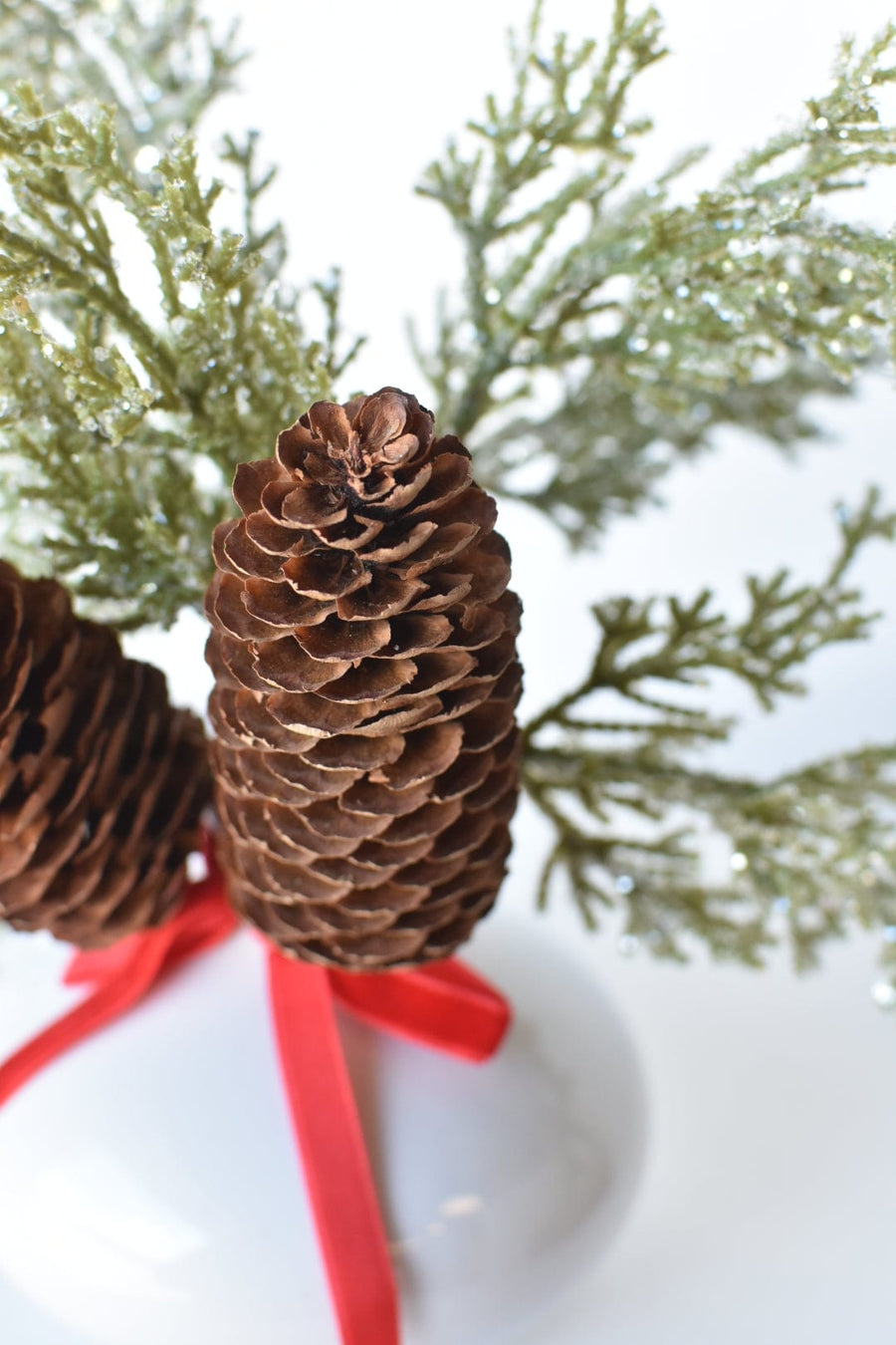 11" Faux Iced + Glittered Cypress Stems w/Pinecones in Container with Red Velvet Bow