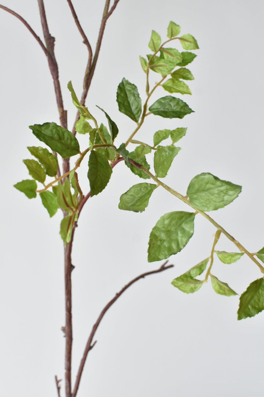 55" Faux Wisteria Leaf Branch