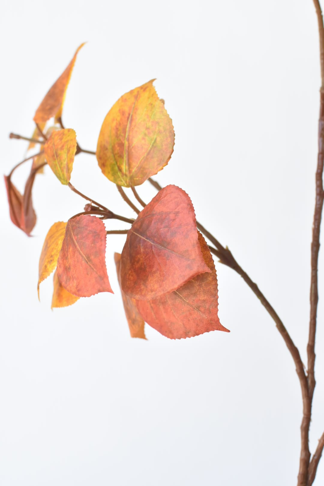 26" Faux Cotinus Leaf Stem Red / Orange / Yellow