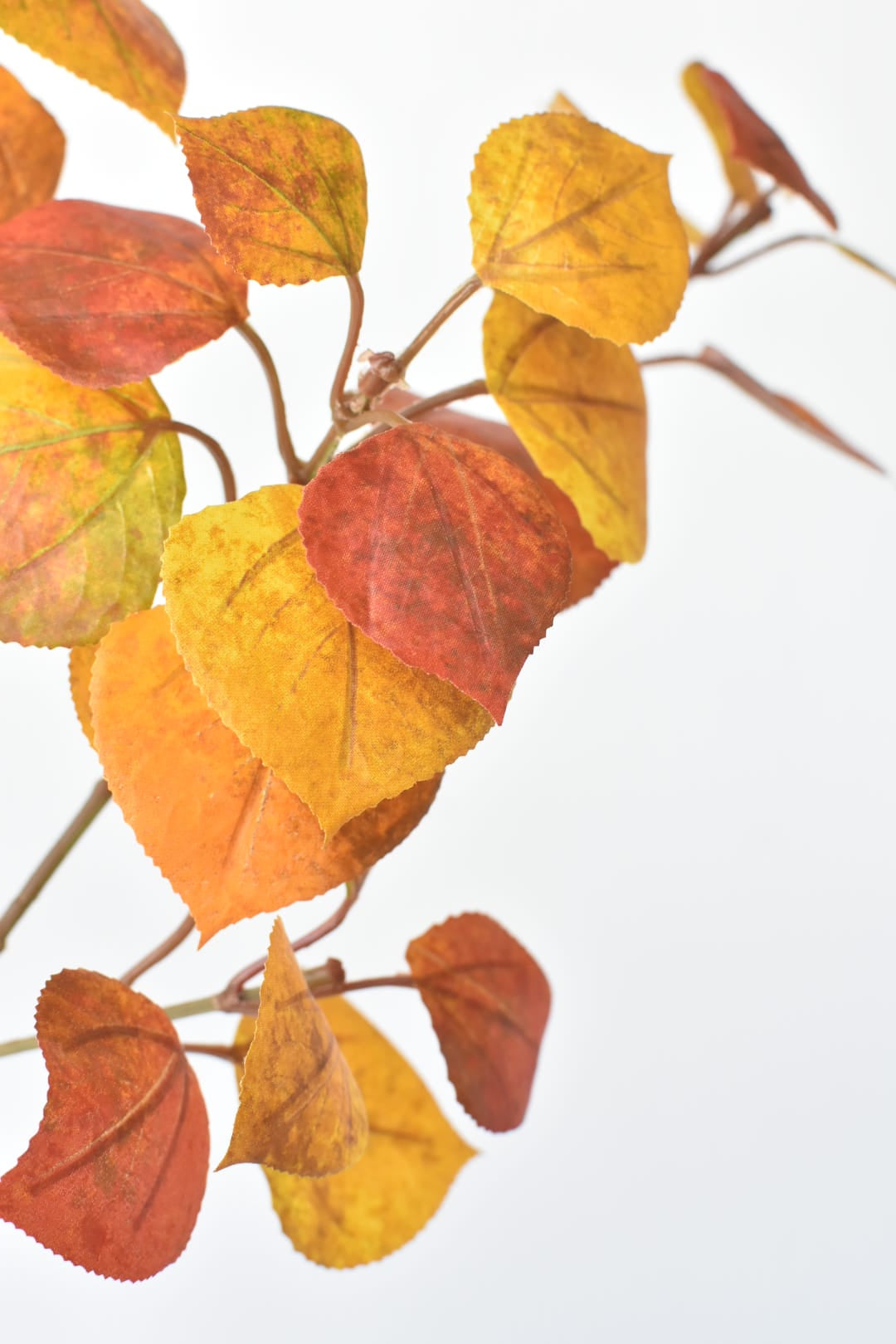 26" Faux Cotinus Leaf Stem Red / Orange / Yellow