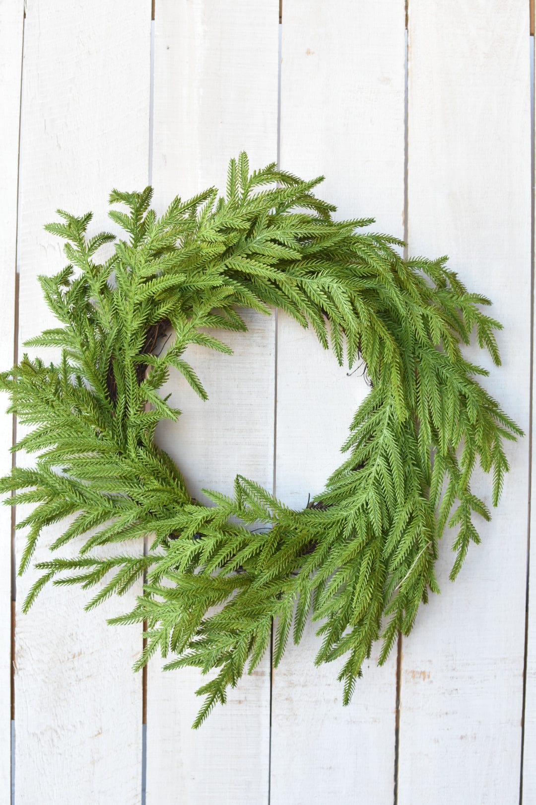 24" Faux Norfolk Wreath - Real Touch