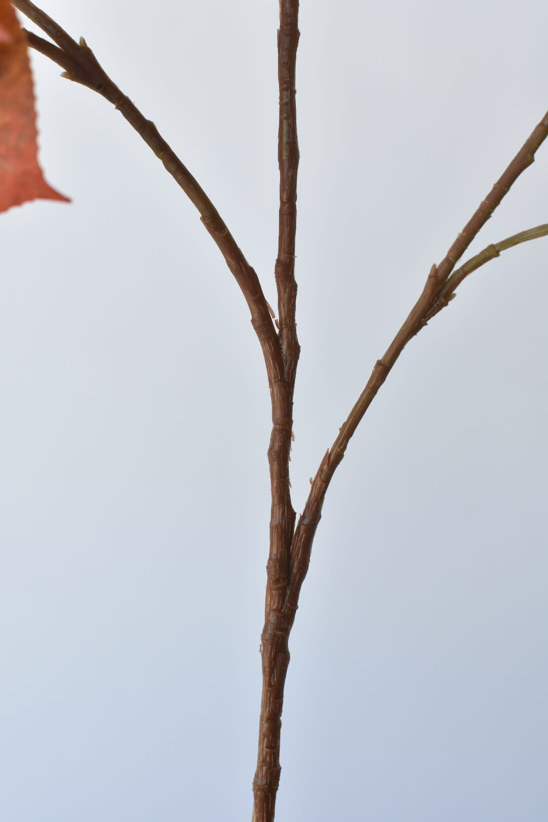 26" Faux Cotinus Leaf Stem Red / Orange / Yellow