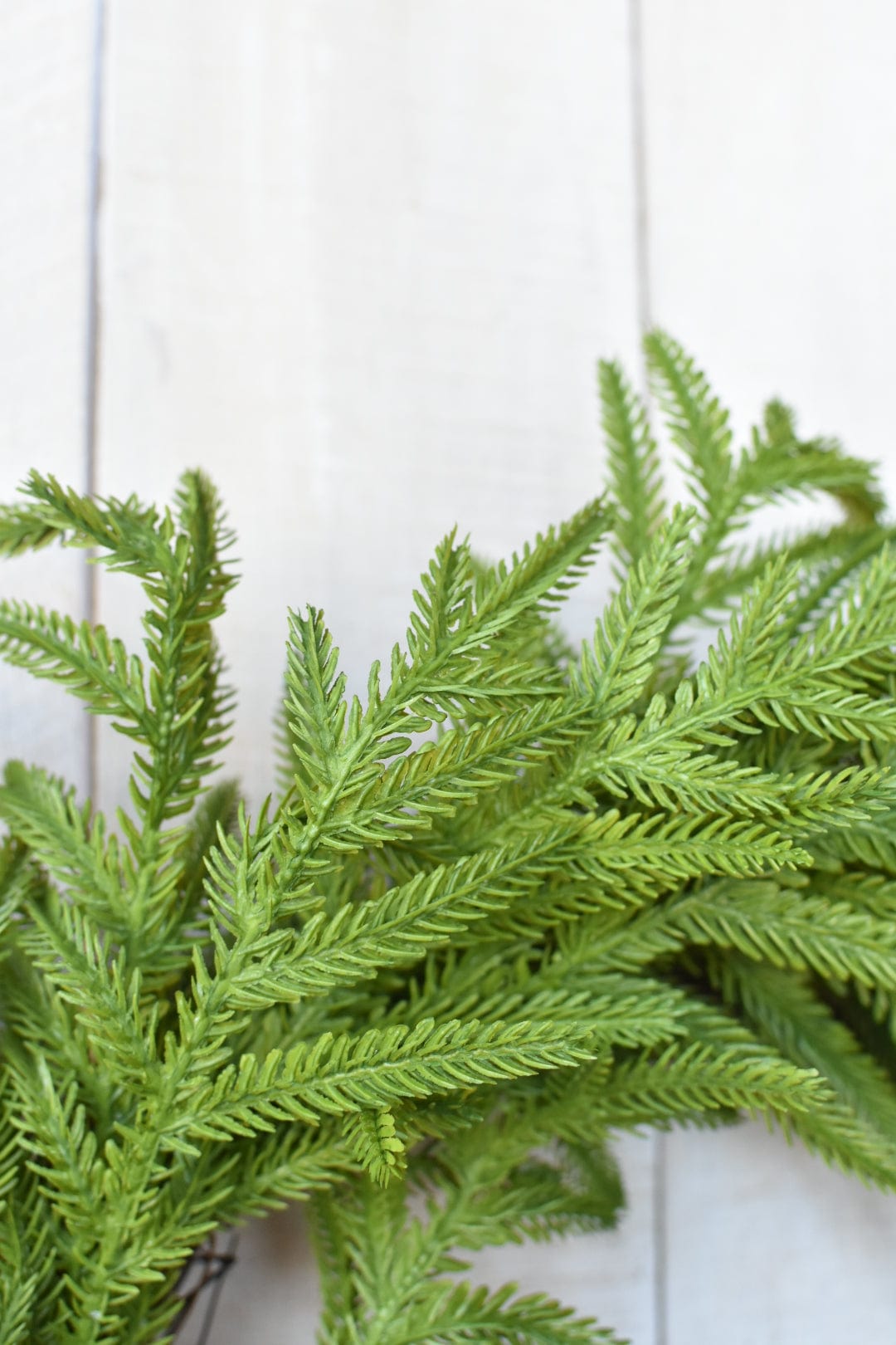 24" Faux Norfolk Wreath - Real Touch