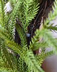 24" Faux Norfolk Wreath - Real Touch