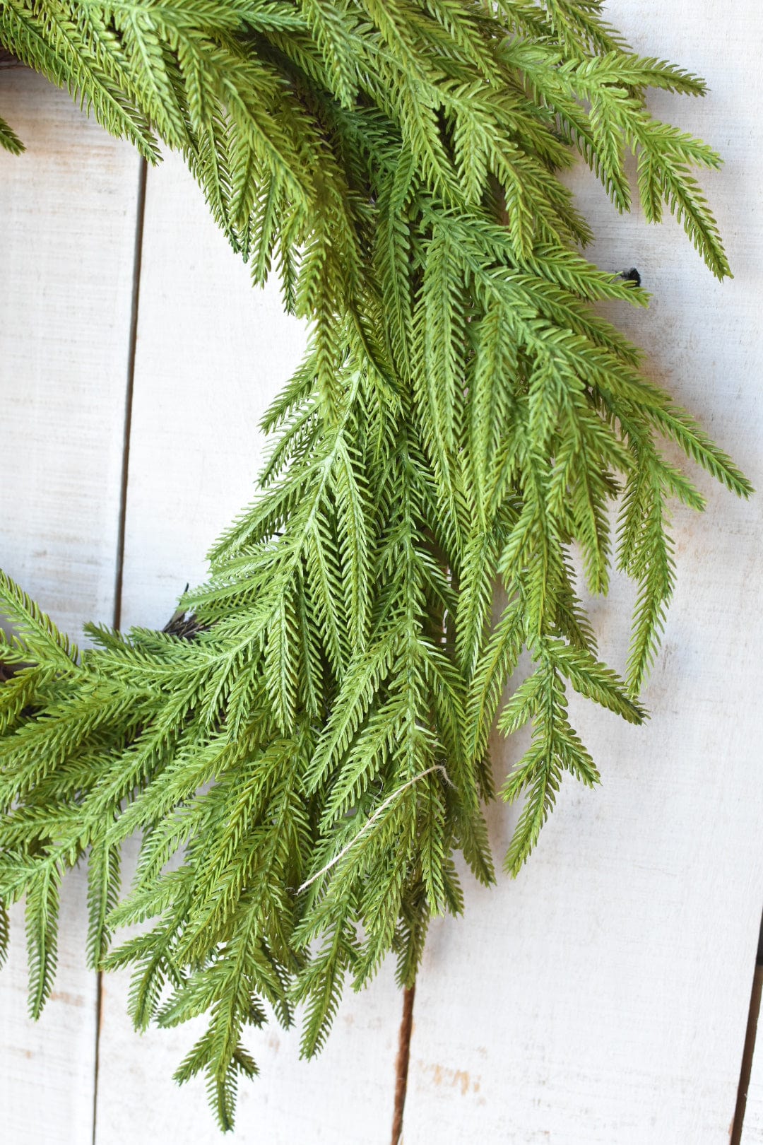 24" Faux Norfolk Wreath - Real Touch