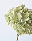 19" Faux Hydrangea Stem Shades of Green