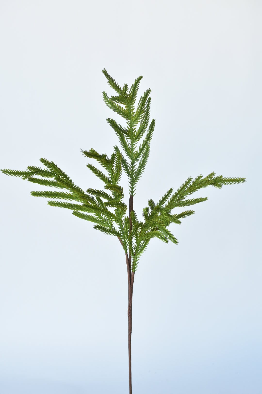 25" Faux Green Norfolk Pine - Cypress Spray Stem