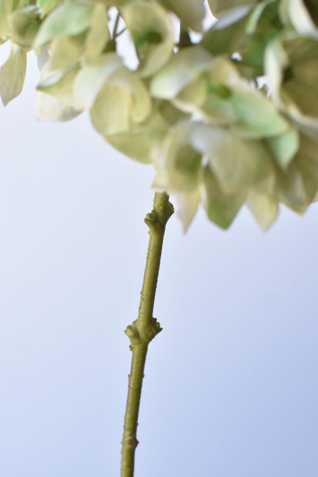 19" Faux Hydrangea Stem Shades of Green