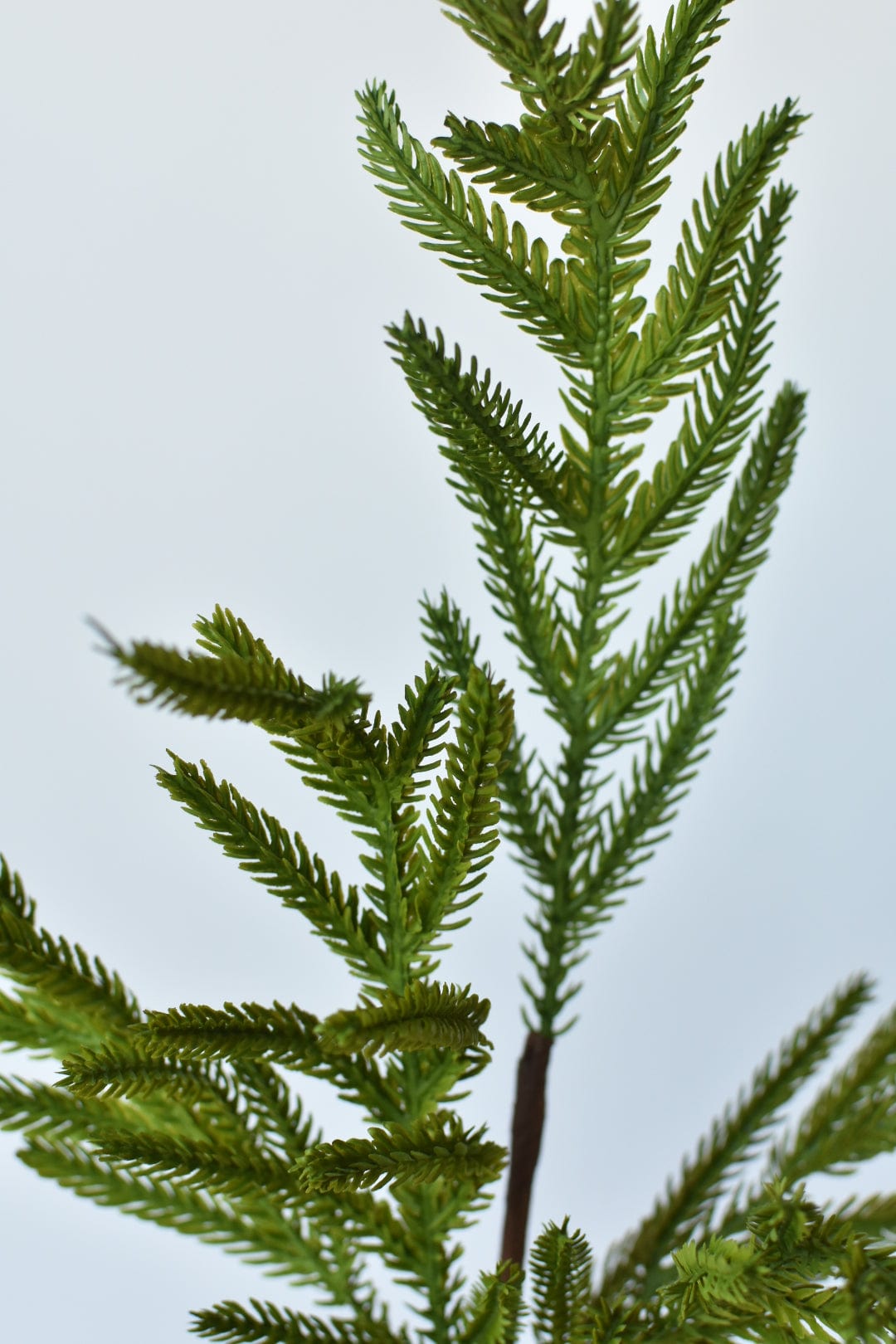 25" Faux Green Norfolk Pine - Cypress Spray Stem