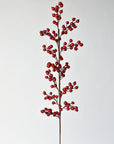 Tall red berry stem that splits at 18 inches into twelve branches
