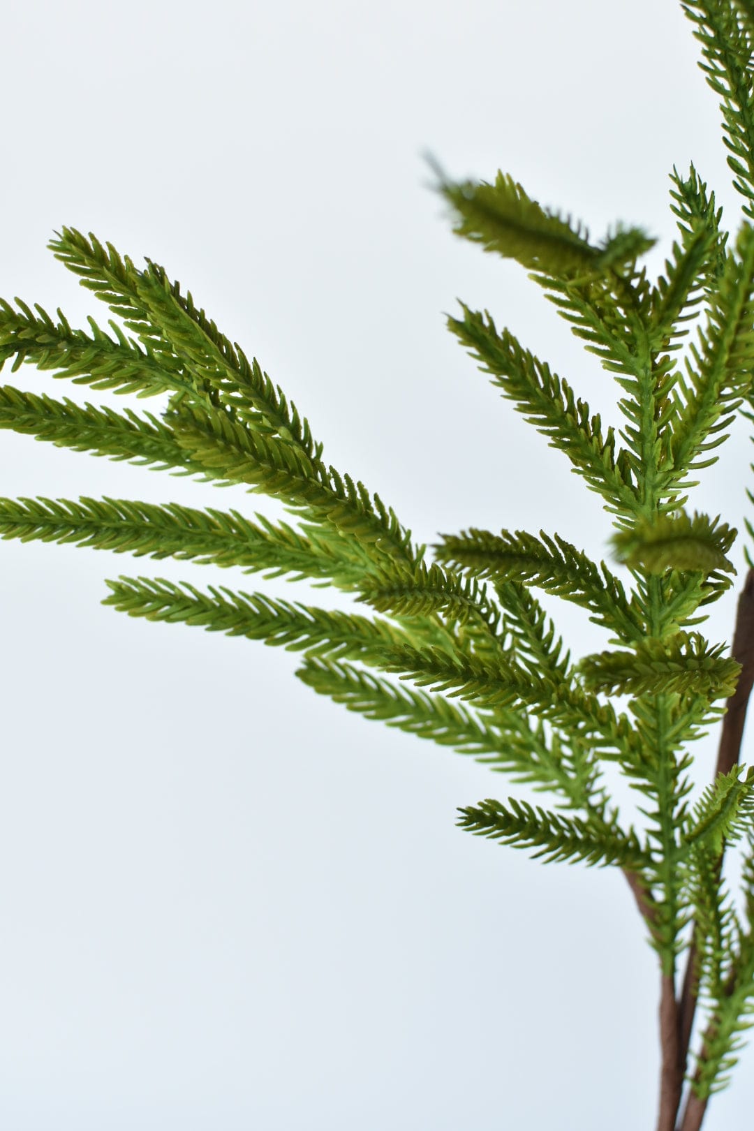 25" Faux Green Norfolk Pine - Cypress Spray Stem