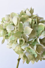 19-inch faux green hydrangea stem with one full mophead bloom