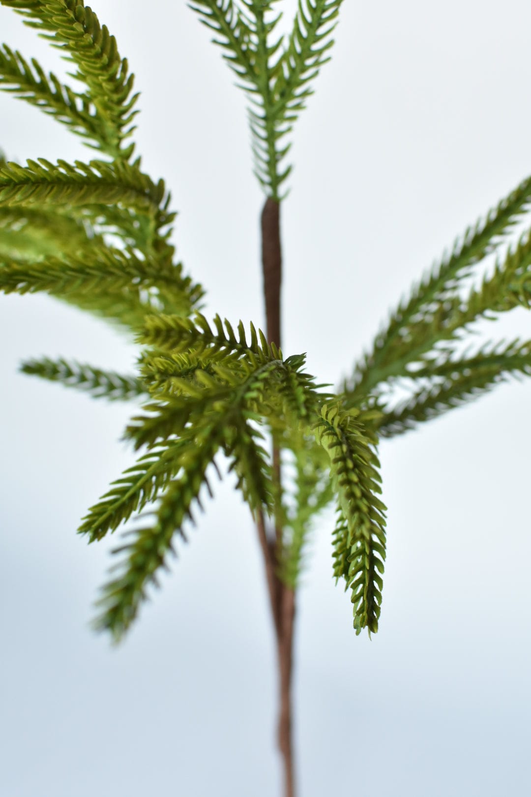 25" Faux Green Norfolk Pine - Cypress Spray Stem