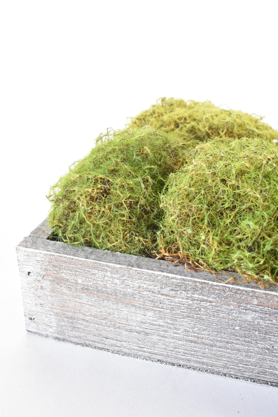 Faux Moss Mound Arrangement