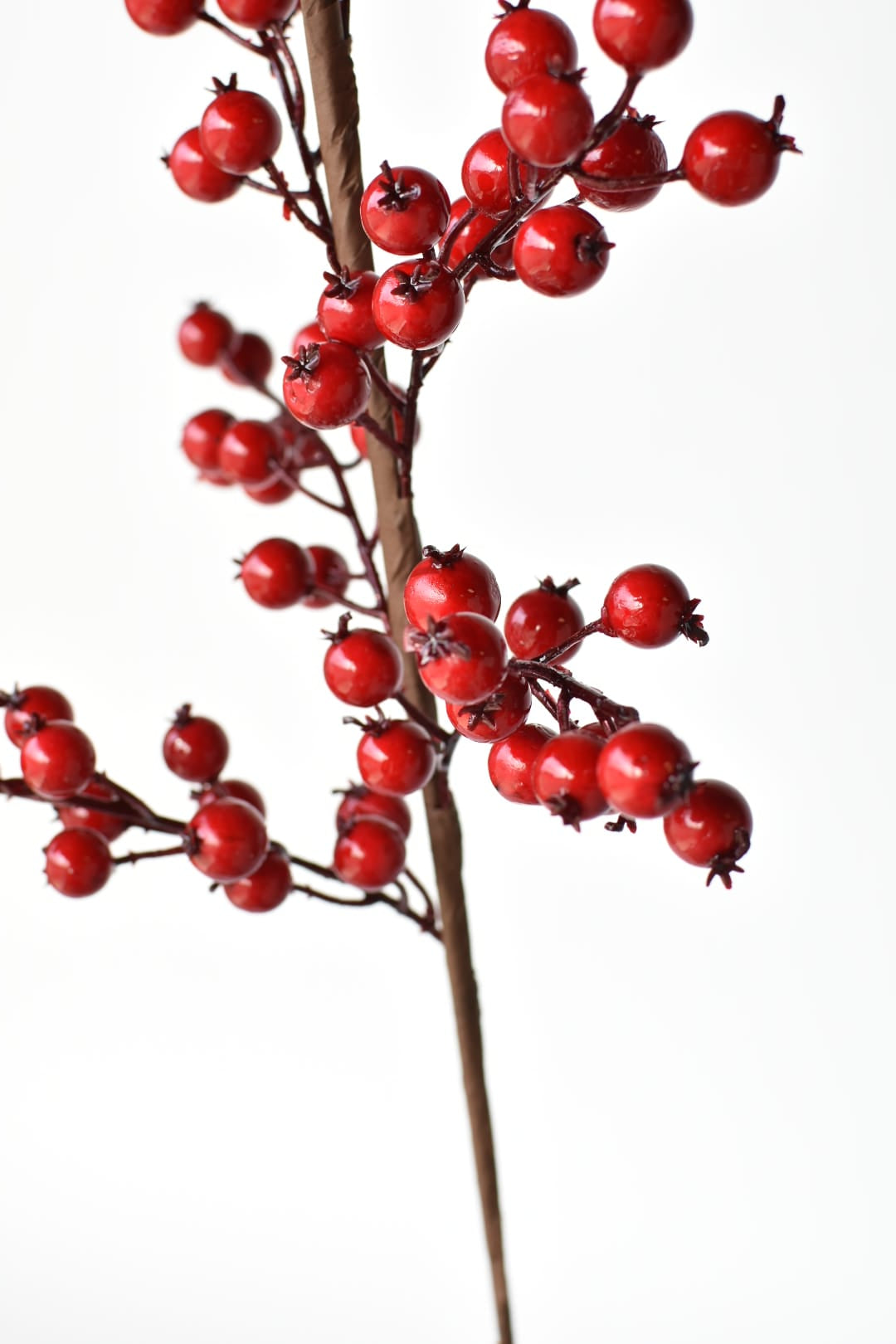 Outdoor red berry branch for urns, wreaths, and winter planters