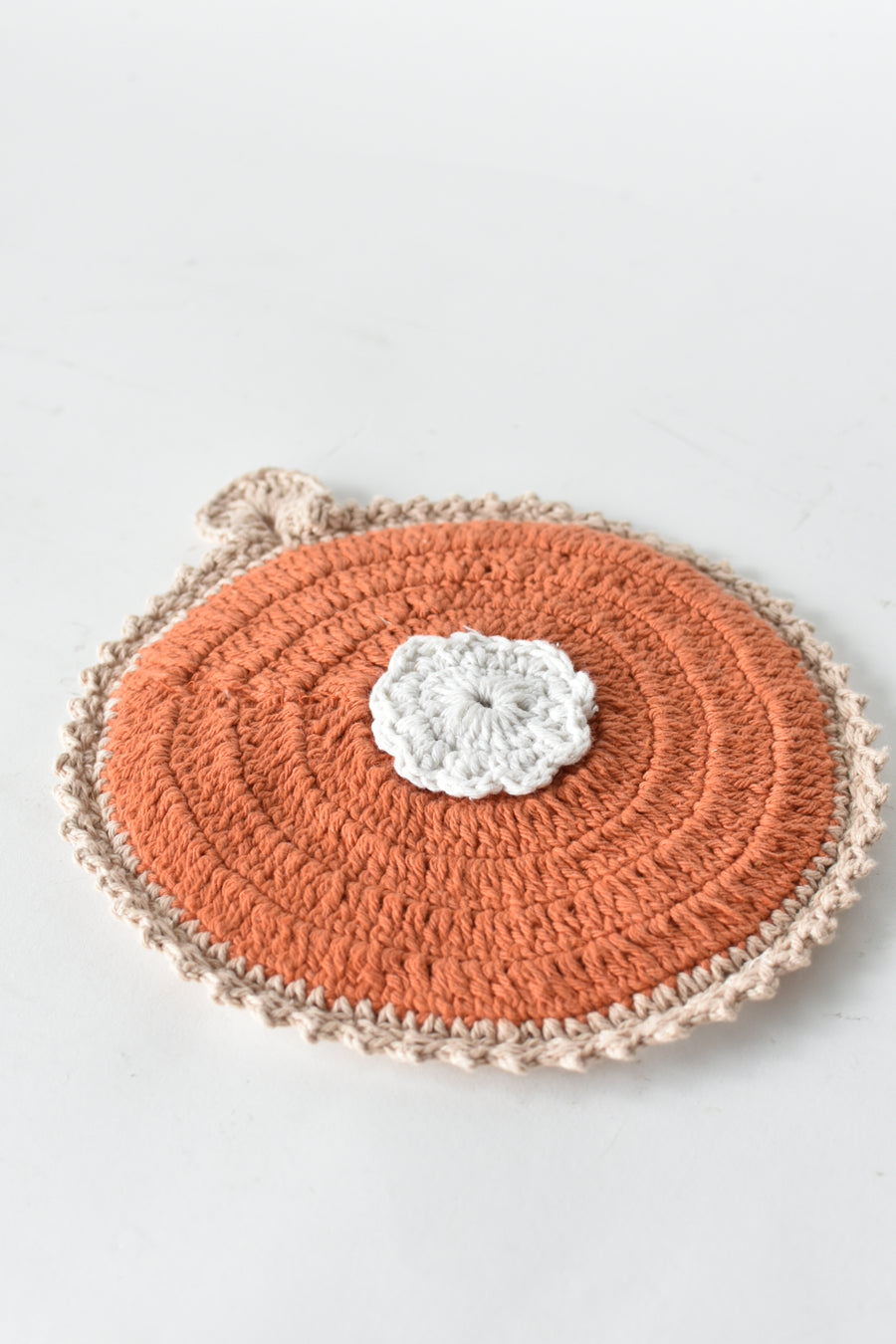 Pumpkin Pie Pot Holder