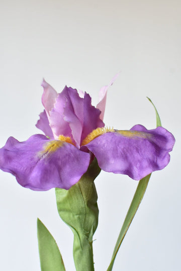 30" Faux Dutch Purple Iris Stem