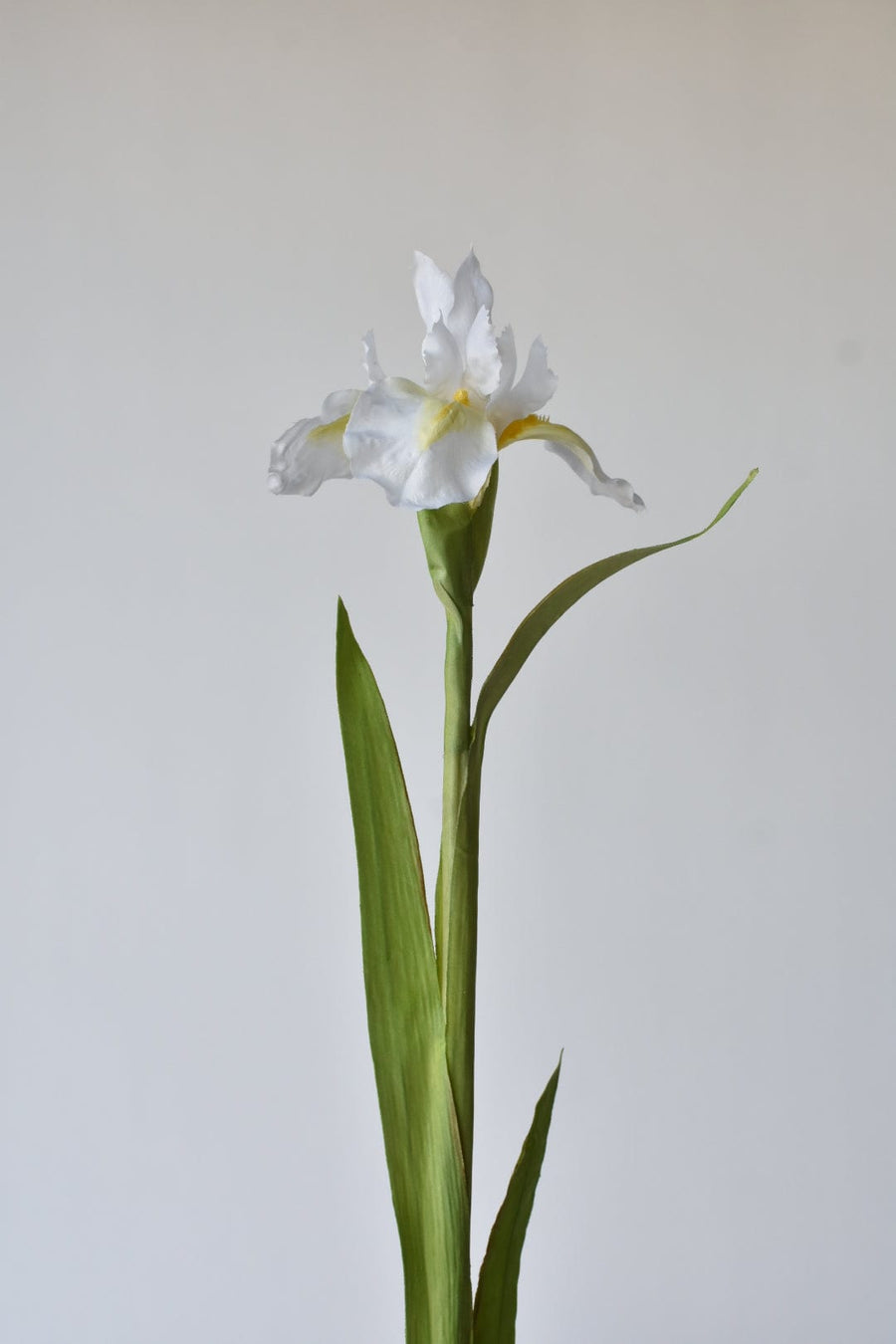 30" Faux Dutch White Iris Stem