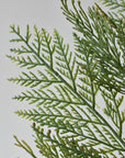 22" Incense Cedar with Pine Cones