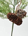 22" Incense Cedar with Pine Cones