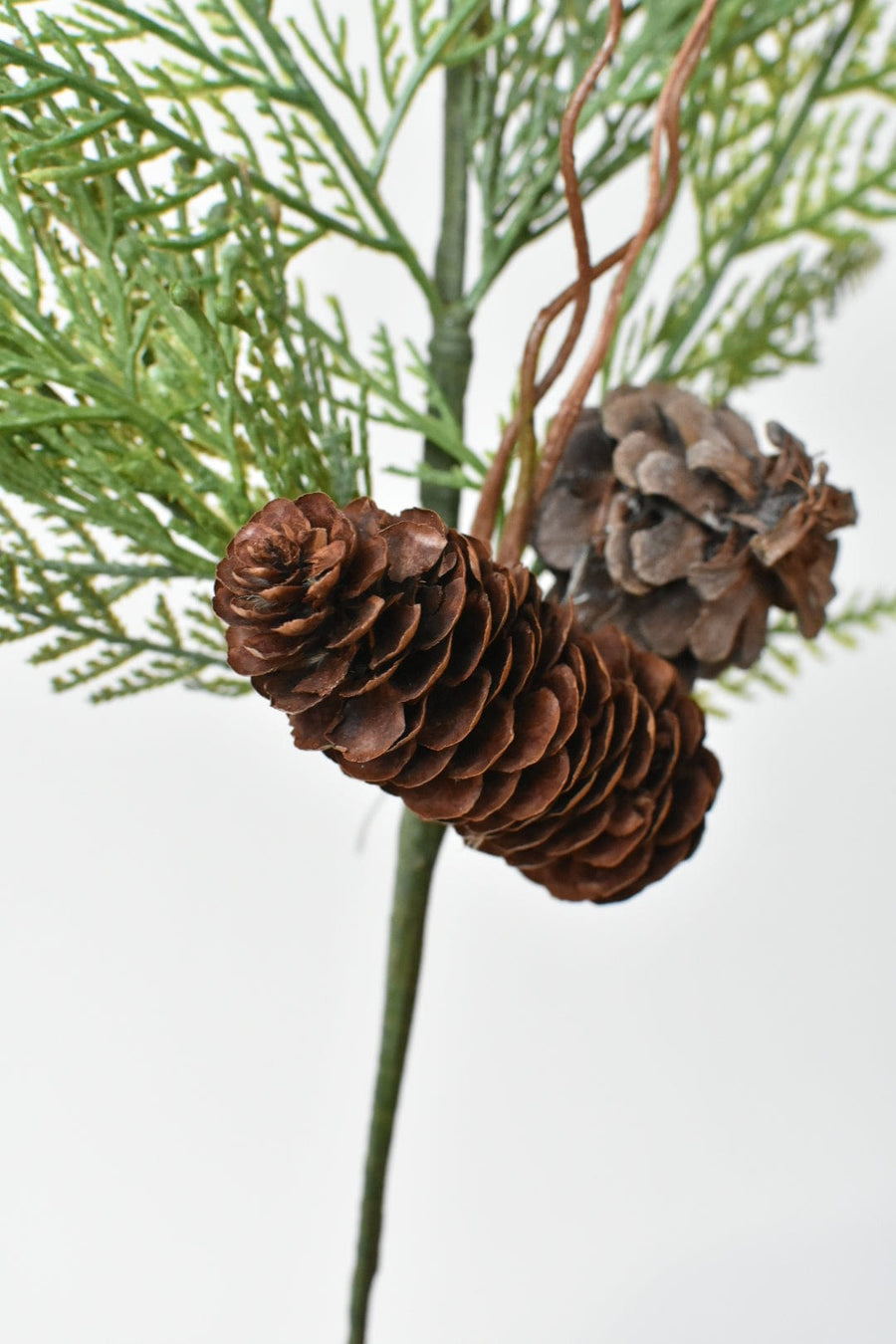 22" Incense Cedar with Pine Cones