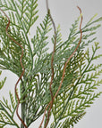 22" Incense Cedar with Pine Cones
