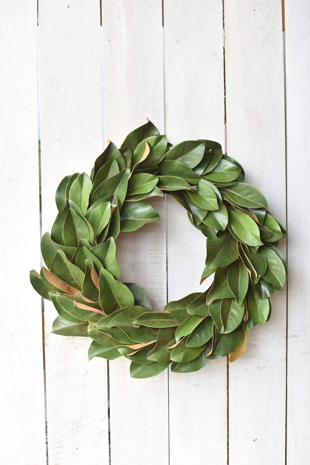 Real Touch faux magnolia wreath showing layered green leaves and full round shape