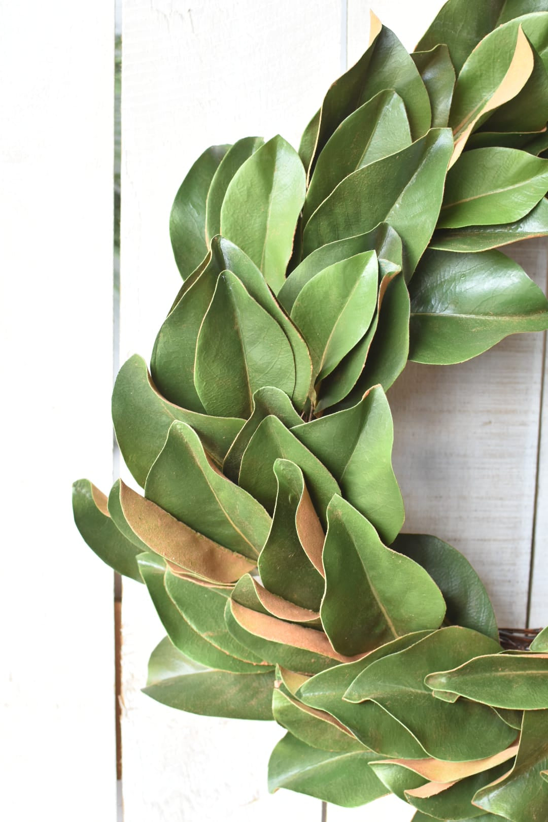 28 inch faux magnolia leaf wreath with glossy two-tone green leaves, full front view