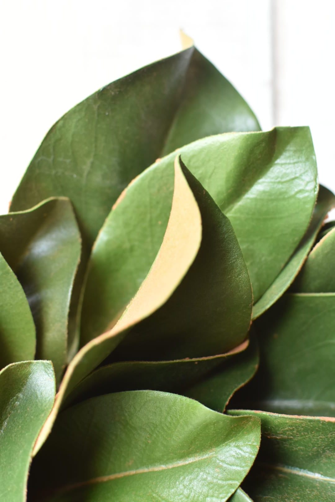 Close-up of faux magnolia wreath leaves with glossy green faces and brown suede undersides