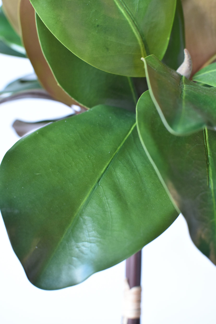 18" Faux Magnolia Leaf Bundle