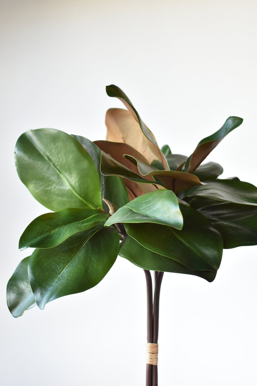 18" Faux Magnolia Leaf Bundle