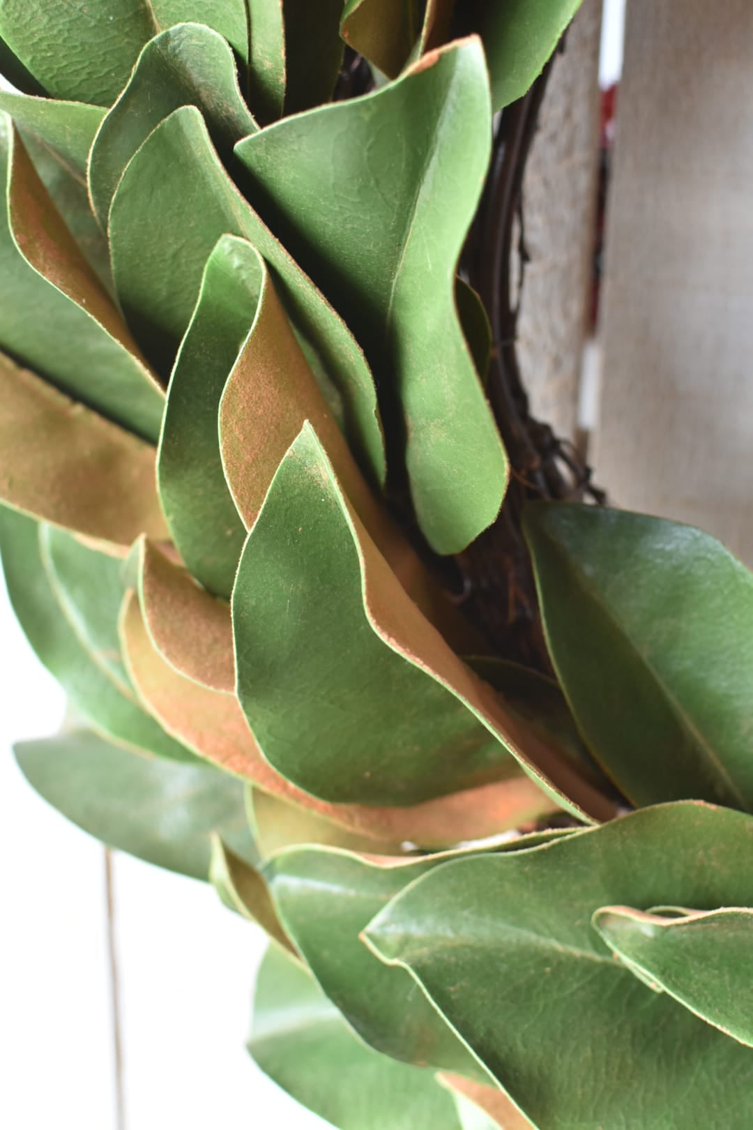 Faux magnolia leaf wreath on a fine grapevine base with an 11 inch center opening