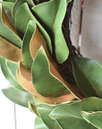 Faux magnolia leaf wreath on a fine grapevine base with an 11 inch center opening