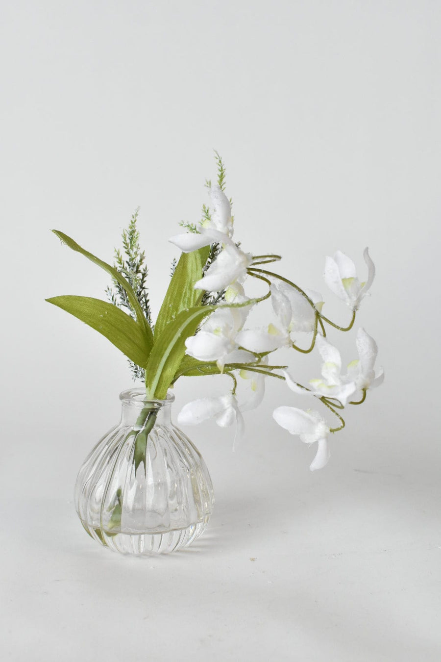 Frosted Snowdrop and Mixed Greens Arrangement in Glass