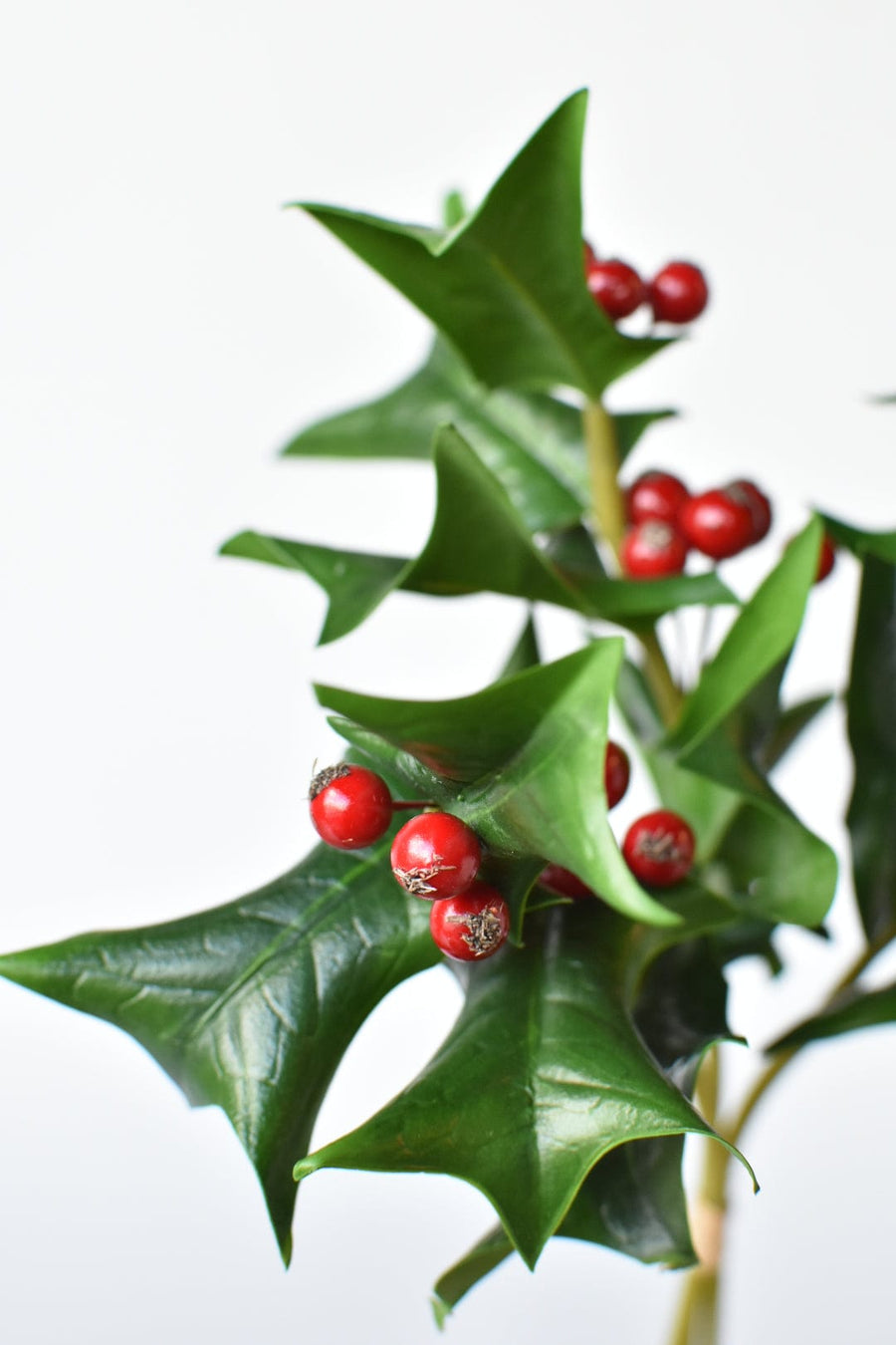 12" Faux Holly Bundle