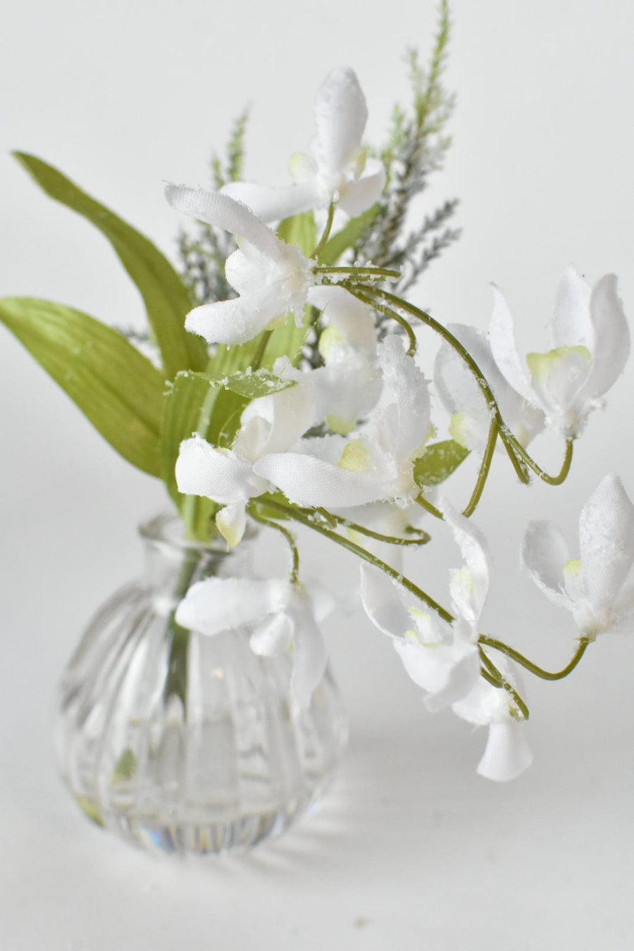 Frosted Snowdrop and Mixed Greens Arrangement in Glass