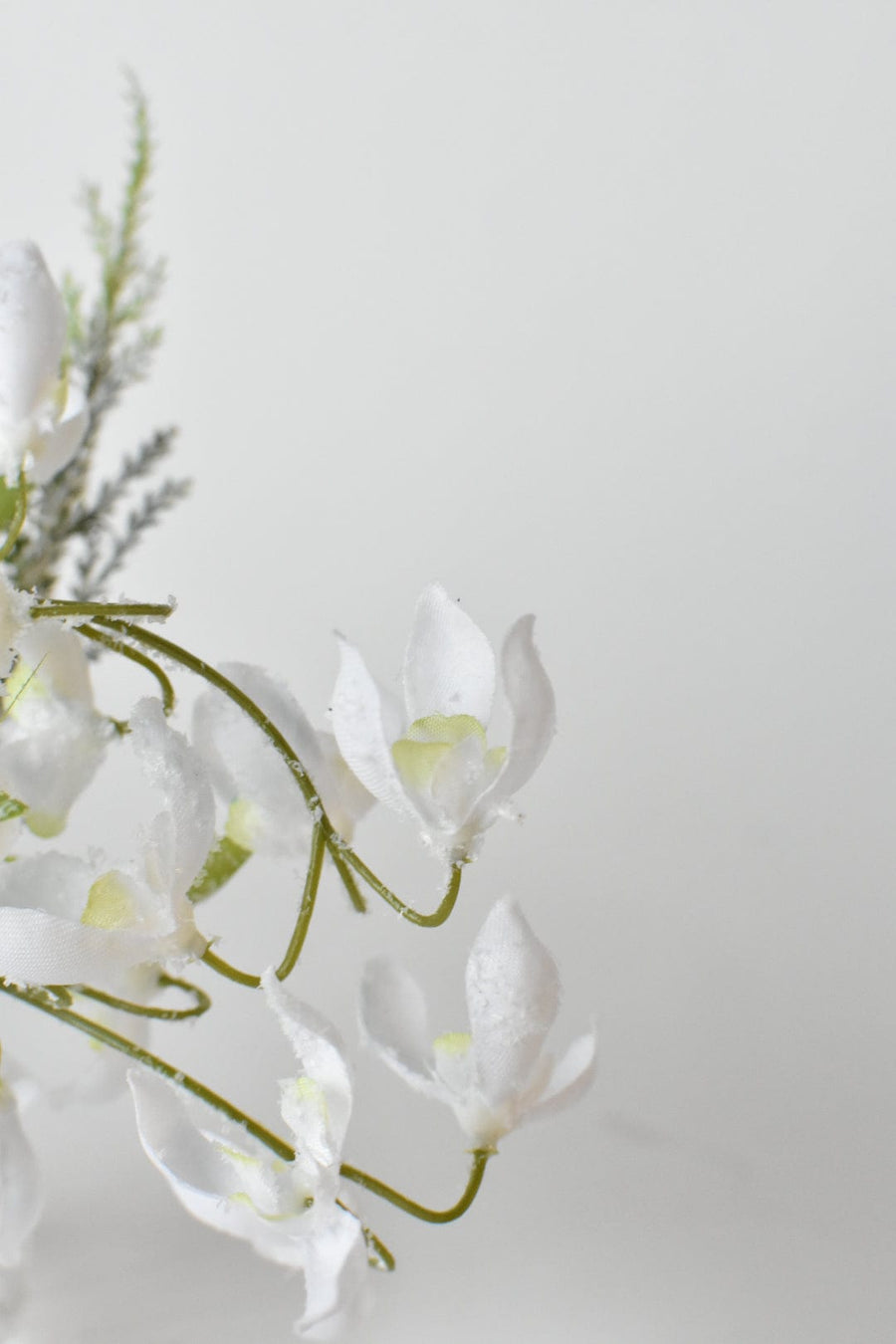 Frosted Snowdrop and Mixed Greens Arrangement in Glass