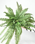 28" Large Faux Boston Fern Bush