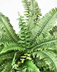 28" Large Faux Boston Fern Bush
