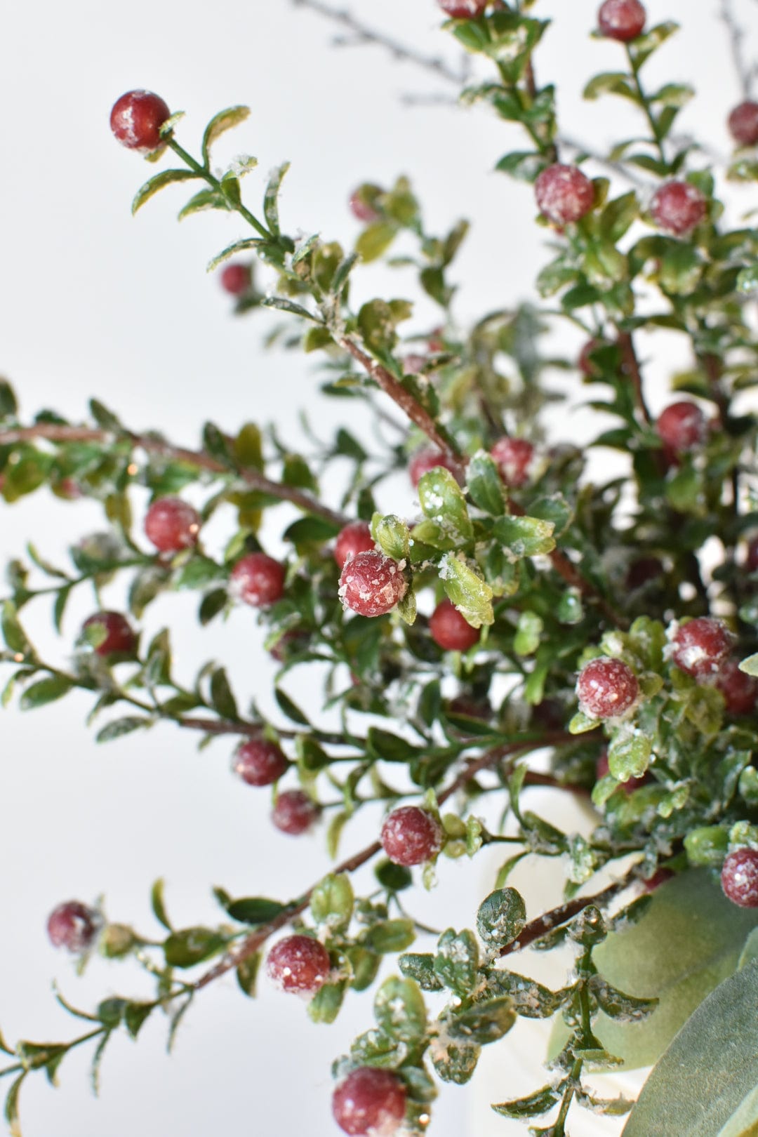 Snowed Berry + Pinecone + Stem - Curated Bundle