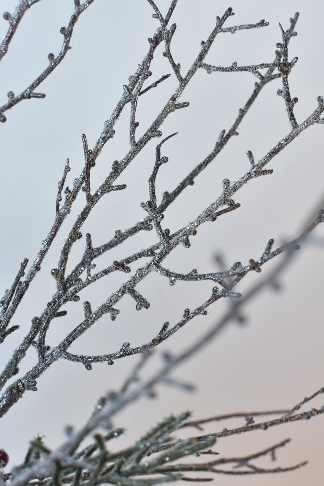 Snowed Berry + Pinecone + Stem - Curated Bundle