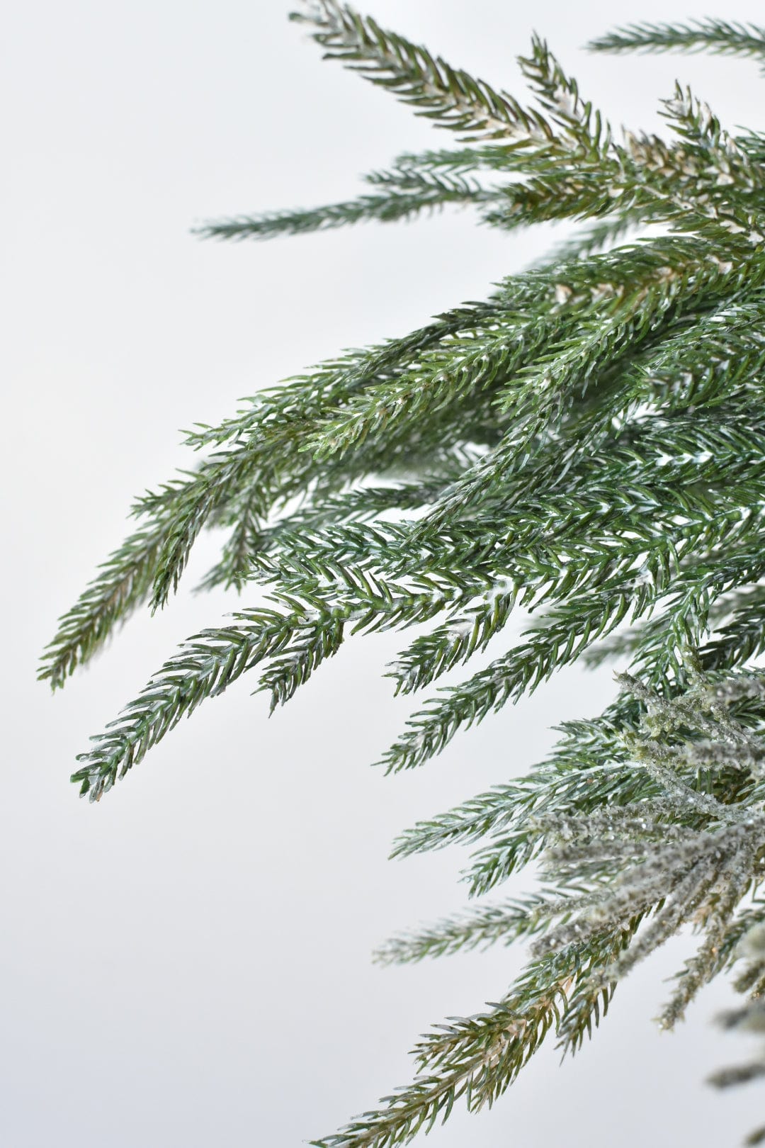 Iced Pod + Pinecone + Greenery - Curated Bundle