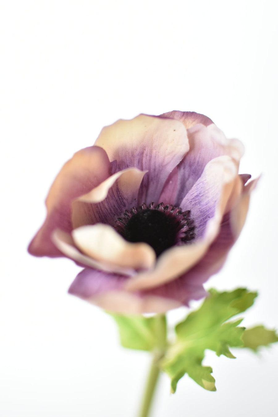 15.5" Faux Eggplant Real Touch Anemone Stem